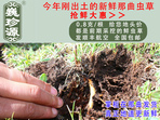 rx(chng)Ĳ շb 0.8/r(ji)80Ԫ/